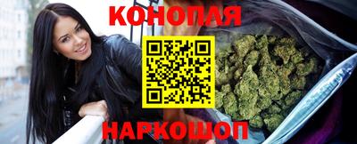 шишки Донской