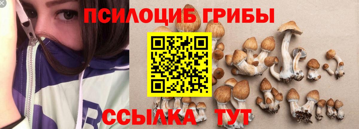Галлюциногенные грибы Psilocybine cubensis Ликино-Дулёво